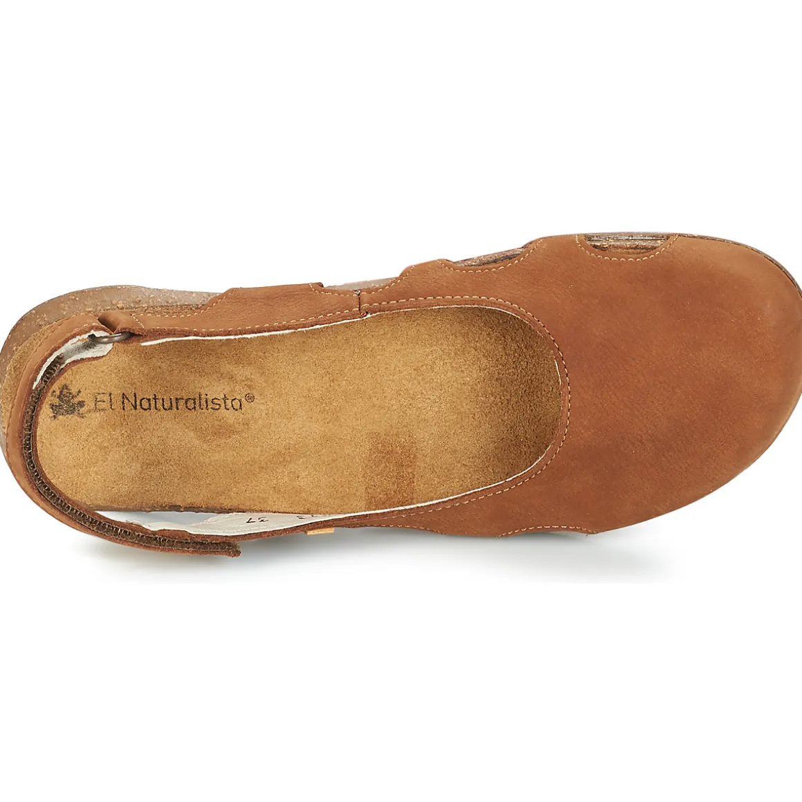 El Naturalista - WAKATAUA N413