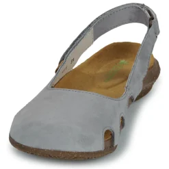 El Naturalista - WAKATAUA N413