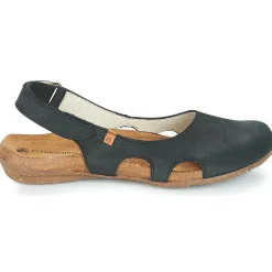 El Naturalista - WAKATAUA N413