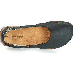 El Naturalista - WAKATAUA N413