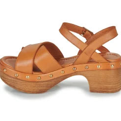 Elue par nous - NEMBROCHER