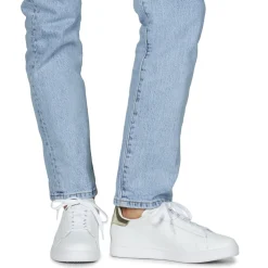 Emporio Armani EA7 - CLASSIC NEW CC