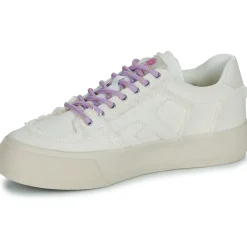 Faguo - WALNUT PLATFORM