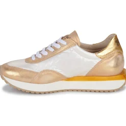 Felmini - E145-VERSION-4