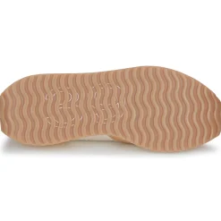 Felmini - E145-VERSION-4