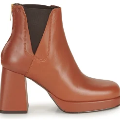 Fericelli - ALSTROMERIA