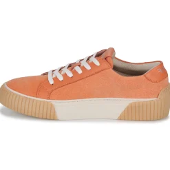 Fericelli - FEERIQUE