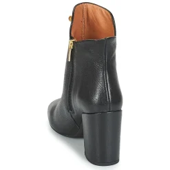 Fericelli - JATTIPALIA