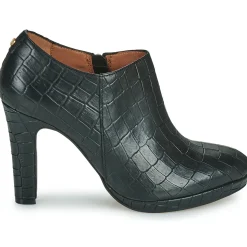 Fericelli - NOMBRETTA