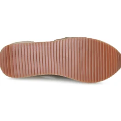 Gioseppo - DARLINGTON