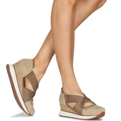 Gioseppo - DARLINGTON