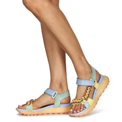 Hispanitas - MAUI-HV253898