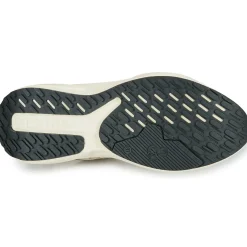 IgI&CO - D.KAIZEN & GTX