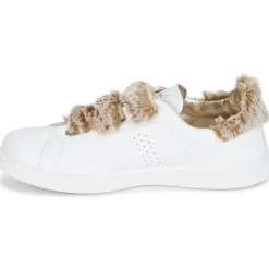 Ippon Vintage - FLIGHT POLAR