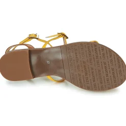 JB Martin - GRIOTTES