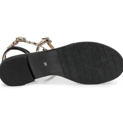 JB Martin - GRIOTTES