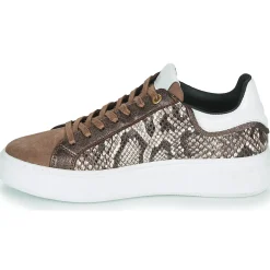 JB Martin - HIBISCUS