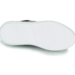 JB Martin - HIBISCUS