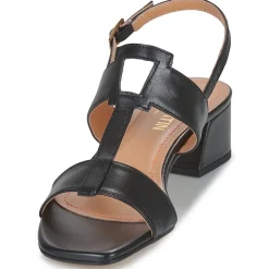 JB Martin - VIOLAINE