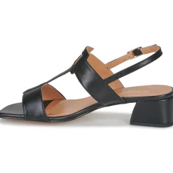 JB Martin - VIOLAINE