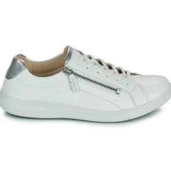 Josef Seibel - MEGAN 01