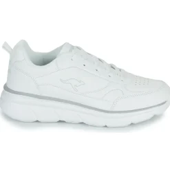 Kangaroos - K-CR Adina