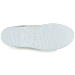 Le Temps des Cerises - BASIC 02