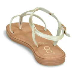 Les Petites Bombes - BULLE