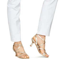 Les Petites Bombes - FARILA