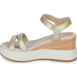 Les Petites Bombes - FIONA