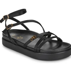 Les Petites Bombes - LEZINE