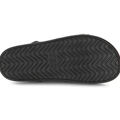 Les Petites Bombes - LEZINE