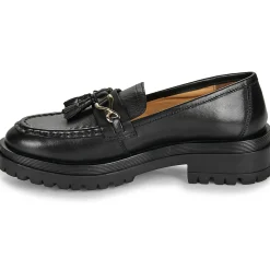 Les Tropéziennes par M Belarbi - VIVALDI