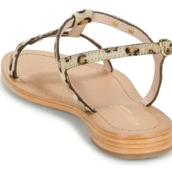 Les Tropéziennes par M Belarbi - HAMAT