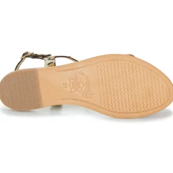 Les Tropéziennes par M Belarbi - HAMAT