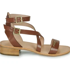 Les Tropéziennes par M Belarbi - HOCEAN