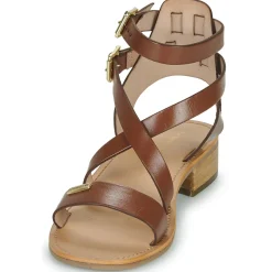 Les Tropéziennes par M Belarbi - HOCEAN