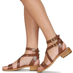 Les Tropéziennes par M Belarbi - HOCEAN