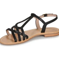 Les Tropéziennes par M Belarbi - HASTRO