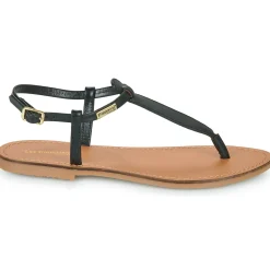 Les Tropéziennes par M Belarbi - HARVIL