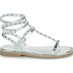 Les Tropéziennes par M Belarbi - CORALIE