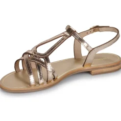 Les Tropéziennes par M Belarbi - HASTRO