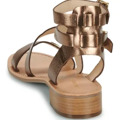 Les Tropéziennes par M Belarbi - HOCEAN