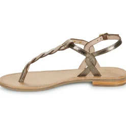 Les Tropéziennes par M Belarbi - HAMSONG