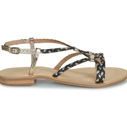 Les Tropéziennes par M Belarbi - HOMARIE