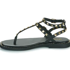 Les Tropéziennes par M Belarbi - CORAZE