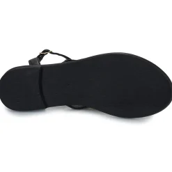 Les Tropéziennes par M Belarbi - OBALY