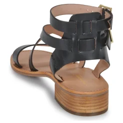 Les Tropéziennes par M Belarbi - HOCEAN