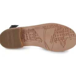 Les Tropéziennes par M Belarbi - HOCEAN