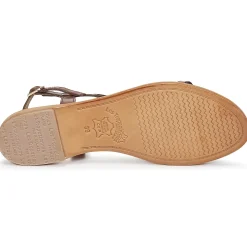 Les Tropéziennes par M Belarbi - HAMAT